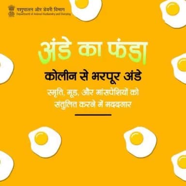 अंडे स्वास्थ्य और संतुलित जीवन के लिए महत्वपूर्ण खाद्य पदार्थ हैं। इनमें उपस्थित पोषक तत्व हमारे शारीरिक और मानसिक स्वास्थ्य को बनाए रखने के लिए आवश्यक होते हैं।
#EggBenefits #Health #Nutrition #eggs