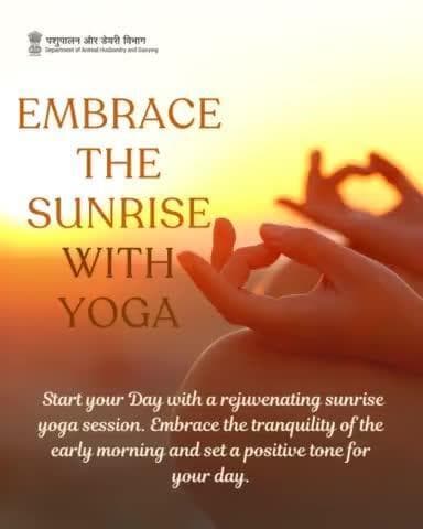 Good morning, yogis! 
Start your day with sun salutations and feel the energy flow. 
#IDY2024. #YogaDay2024 #YogaForAll #MorningYoga #YogaEveryDay