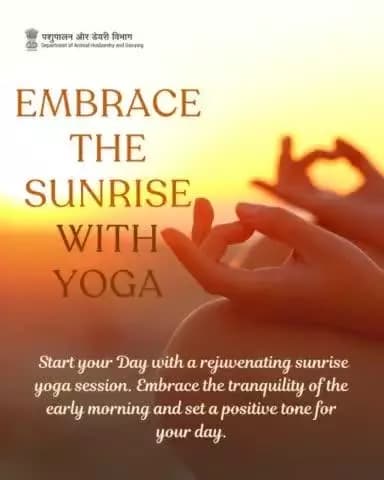 Good morning, yogis!
Start your day with sun salutations and feel the energy flow.
#IDY2024. #YogaDay2024 #YogaForAll #MorningYoga #YogaEveryDay