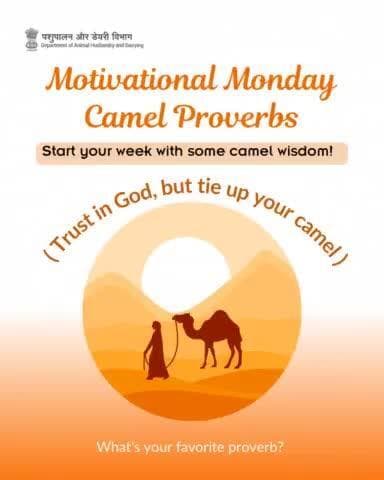 Start your week with camel wisdom!
'Trust in God, but tie up your camel.'
What's your favorite proverb?
#camelday #DesertLifeline #CamelCulture #DesertCommunities #SustainableLiving