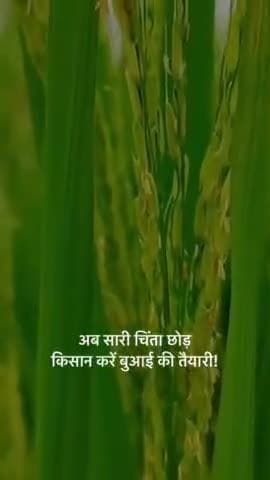 अब सारी चिंता छोड़ किसान करें बुआई की तैयारी!
मुख्यमन्त्री श्री विष्णुदेव साय ने ख़रीफ़ फसल की तैयारियों के संबंध में ली कृषि विभाग की बैठक।