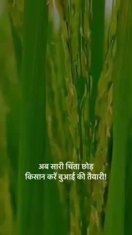 अब सारी चिंता छोड़ किसान करें बुआई की तैयारी!
मुख्यमन्त्री श्री विष्णुदेव साय ने ख़रीफ़ फसल की तैयारियों के संबंध में ली कृषि विभाग की बैठक।