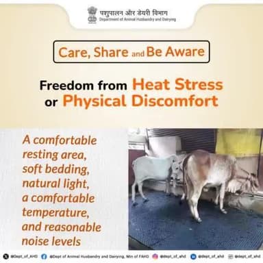 Ensuring comfort and safety: Providing shelters equipped to combat heat stress with proper disease prevention measures for a healthier community.
#ComfortAndSafety #HealthyCommunity #HeatStressRelief #AnimalRightsweek
