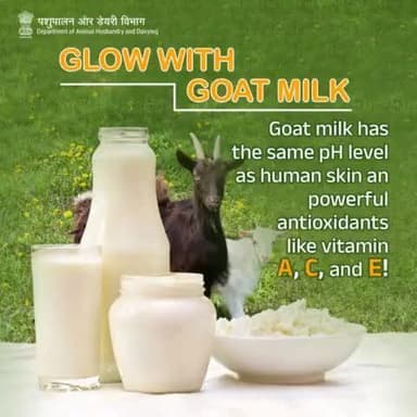 Get Your Glow On with Goat Milk: Nature's Perfect Match for Radiant Skin!
#GlowWithGoatMilk #NaturalBeauty #SkincareRoutine
#GoatMilkBenefits