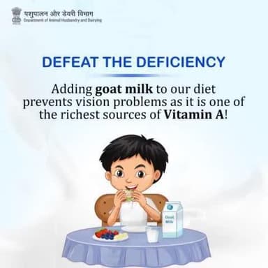 Open your eyes to a brighter future! Incorporate goat milk into your diet and see the world with clarity. Defeat the deficiency with every sip.
WorldMilkDay2024 #GoatMilkBenefits #MilkMagic #MilkInEveryMeal
