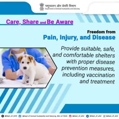 Ensuring freedom from pain, injury, or disease means preventing illness and providing rapid diagnosis and treatment. Regular veterinary care is a must!
#AnimalRights #FreedomFromPain #DeptofAnimalHusbandry