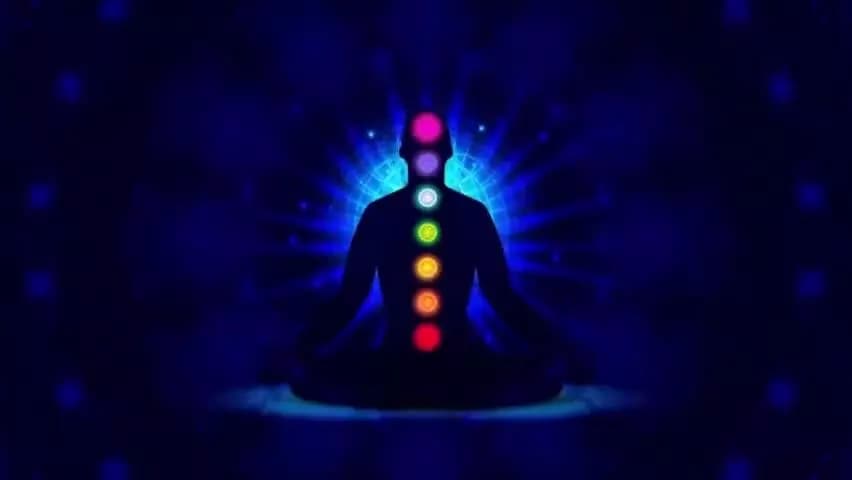 स्वयं और समाज के लिए योग - यही स्वस्थ जीवन का आधार है।
#InternationalDayofYoga2024 #YogaForSelfAndSociety