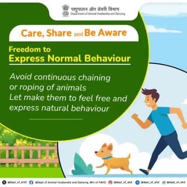 Animals should be free to express normal behavior, which includes sufficient space, proper facilities, and the company of the animal's kind.
#AnimalRights #NormalBehaviour #DeptofAnimalHusbandry #animalrightsweek