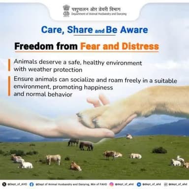 The fifth freedom is ensuring animals live in conditions and treatment that avoid mental suffering. A stress-free environment is key to their overall health.
#AnimalRights #FreedomFromFear #DeptOfAnimalHusbandry