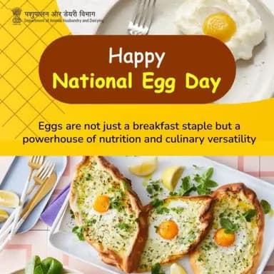 The Department of Animal Husbandry and Dairying extends warm wishes for a Happy National Egg Day. Eggs are more than just a breakfast favorite; they are a nutritional powerhouse and incredibly versatile in the kitchen. #NationalEggDay