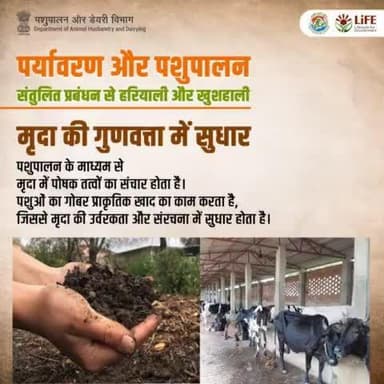 मृदा की गुणवत्ता में सुधार: पशुपालन से गोबर द्वारा प्राकृतिक खाद मिलने से मृदा की उर्वरता और संरचना में सुधार होता है।
#worldenvironmentday #SustainableLivestock #MissionLiFE #Biodiversity