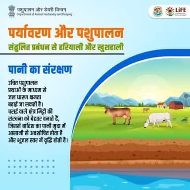 पानी का संरक्षण: उचित पशुपालन प्रथाओं से जल धारण क्षमता बढ़ती है, जिससे मृदामें बारिश का पानी आसानी से अवशोषित होकर भूजल स्तर में वृद्धि होती है। #WorldEnvironmentDay #SustainableFarming #SustainableLivestock #MissionLiFE