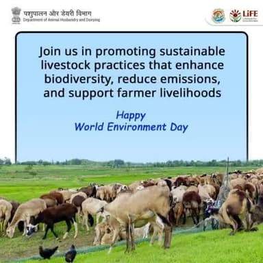 Promote sustainable livestock practices that enhance biodiversity, reduce emissions, and support farmer livelihoods.
Happy World Environment Day!
#GreenFarming #WorldEnvironmentDay2024
