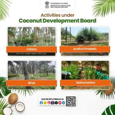 The Coconut Development Board undertook various farm activities & events such as #weeding, #ploughing, #irrigation etc. during the last week of May to first week of June 2024 at DSP Farms of Odisha, Andhra Pradesh, Bihar & Maharashtra.