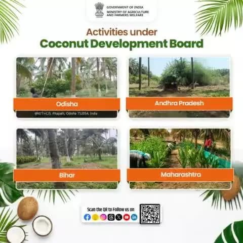 The Coconut Development Board undertook various farm activities & events such as #weeding, #ploughing, #irrigation etc. during the last week of May to first week of June 2024 at DSP Farms of Odisha, Andhra Pradesh, Bihar & Maharashtra.