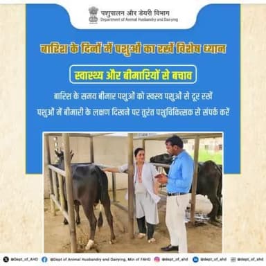 बरसात के दिनों में बीमार पशुओं को अलग रखें और बीमारी के लक्षण दिखने पर तुरंत पशुचिकित्सक को बुलाएं। #पशुपालन #स्वास्थ्य #animalcare #livestockcare