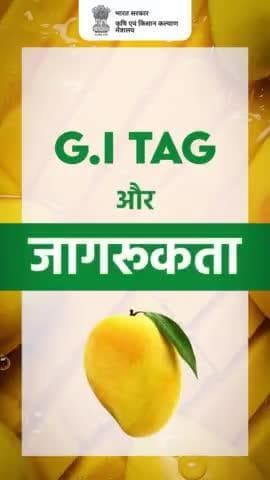 जीआई और जागरूकता!
.
आमों का राजा अल्फांसो को जीआई टैग कब मिला और क्यों? आइए जानते हैं इस वीडियो में..
#agrigoi #alphonsomango #GITag