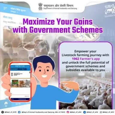 Enhance your Livestock farming journey with 1962 Farmer’s App! and tap into government schemes and subsidies.
Unlock the full potential of available support systems and maximize your gains today!
#BharatPashudhan #GovernmentSchemes