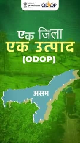 एक जिला, एक उत्पाद योजना से स्थानीय स्व-रोजगार को मिला बल, असम राज्य के प्रत्येक क्षेत्र के किसानों का सुनहरा हो रहा आने वाला कल!
#agrigoi #ODOP #OneDistrictOneProduct #Assam #agriproducts #vocalforlocal