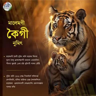 #InternationalTigerDay 2024: কৈ ঙাকশেন্নবা মালেমগী ফিরেপ অমা🐅
⇒ চহি খুদিংগী জুলাই 29দা মালেম শিনবা থুংনা কৈবু ঙাকশেনবগী মরু ওইবা অদু ফোঙদোক্লদুনা মালেমগী কৈগী নুমিৎ অসি পালন তৌরি।