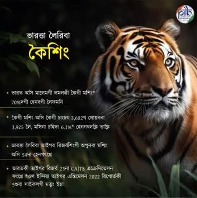 #InternationalTigerDay 🐅
➡️ ভারত অসি মালেমগী কৈশিংগী 70%গী লৈফম ওইরি, অমসুং চাংচৎ ওইনা কৈ 3,682 লৈবগা লোয়ননা মতিক লৈরবা জিবা অসিগী মশিং 3,925 ওইরি, মসিনা চহিদা 6.1%গী চাংদা হেনগৎলক্লি তাক্লি