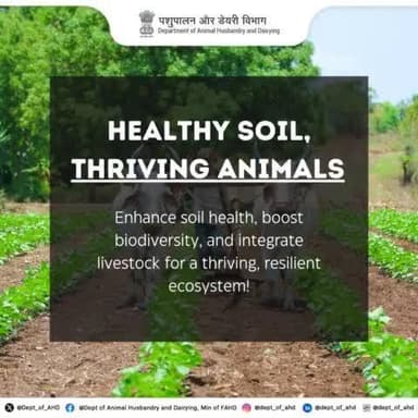 Natural farming enriches soil fertility and promotes biodiversity. Livestock play a crucial role in maintaining a vibrant ecosystem.
#SoilHealth #Biodiversity #OrganicFarming #Livestock