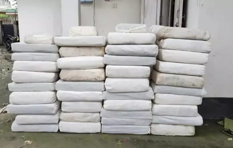 #DrugsFreeBharat
NCB Guwahati Action. Seized 934.510 kg Ganja and apprehended 01 person. Further Investigation is ON.