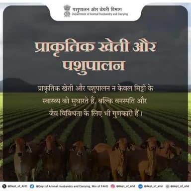 प्राकृतिक खेती और पशुपालन न केवल मिट्टी के स्वास्थ्य को सुधारते हैं, बल्कि वनस्पति और जैव विविधता के लिए भी गुणकारी हैं।
🌱🐄 #प्राकृतिकखेती #पशुपालन #पर्यावरणसंरक्षण
