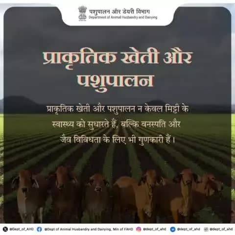 प्राकृतिक खेती और पशुपालन न केवल मिट्टी के स्वास्थ्य को सुधारते हैं, बल्कि वनस्पति और जैव विविधता के लिए भी गुणकारी हैं।
🌱🐄 #प्राकृतिकखेती #पशुपालन #पर्यावरणसंरक्षण