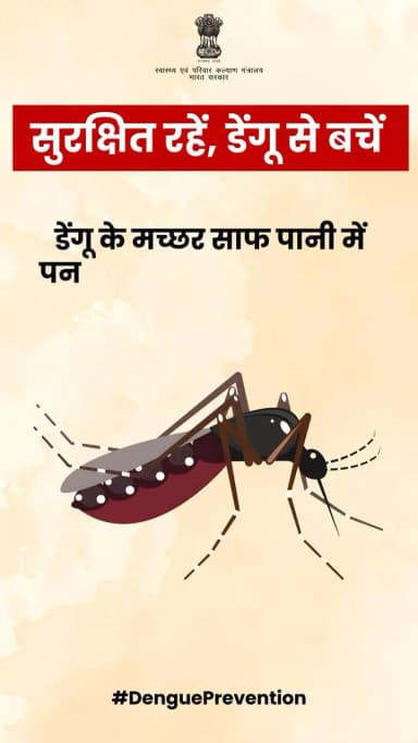 सुरक्षित रहें, डेंगू से बचें!
डेंगू के मच्छरों से बचने के लिए अपनाएं ये सरल उपाय और अपने परिवार को सुरक्षित रखें।
#DenguePrevention