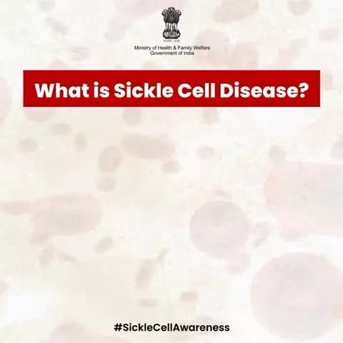 Spread awareness and help fight against Sickle Cell Anemia by staying informed and proactive.
#SickleCellAwareness