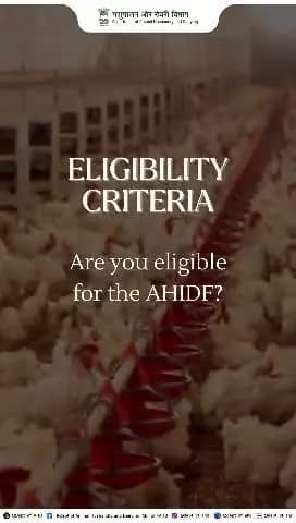 Are you eligible for the AHIDF?
Check if you qualify and take your animal husbandry projects to new heights!
#AHIDF #AnimalHusbandry #infrastructuredevelopment