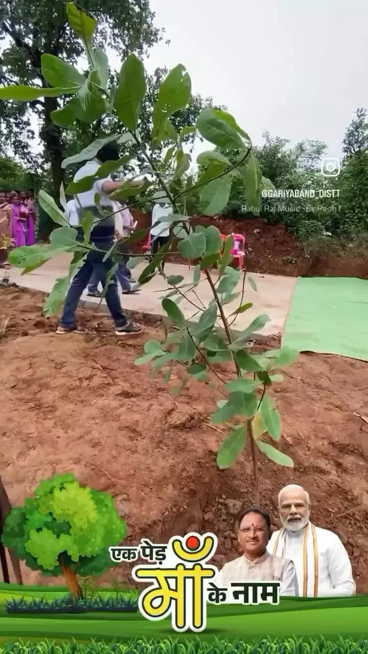 विधायक श्री रोहित साहू ने #एक_पेड़_माँ_के_नाम अभियान के तहत रोपे पौधे।
पर्यावरण संरक्षण के लिए पौधों की देखभाल अपने बच्चों की तरह करने की अपील भी की।