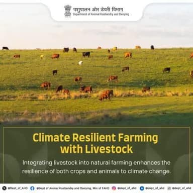 Integrating livestock into natural farming enhances resilience for both crops and animals amidst climate change challenges. Embrace sustainable agriculture for a greener future! #ClimateResilience #SustainableFarming