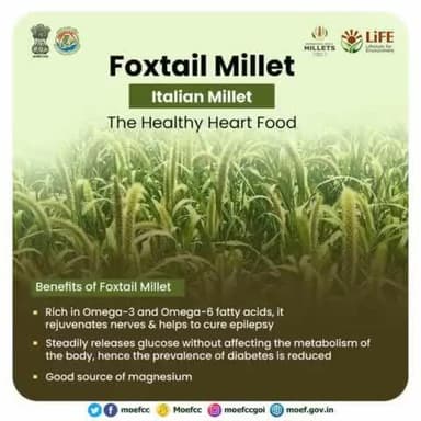 #IYM2023 #ChooseLiFE #MissionLiFEcomments
Let’s learn about #FoxTailMillet the ‘Healthy Heart Food’!
@railminindia
@moefcc