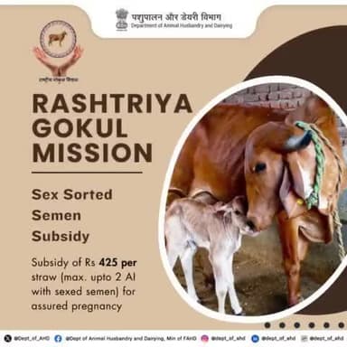 Sex Sorted Semen Subsidy Ensuring Assured Pregnancy: Avail a subsidy of Rs 425 per straw for sex sorted semen, ensuring up to 2 AI for assured pregnancy.
#LivestockBreeding #DairyFarming