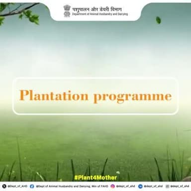 Together for a Greener Future!
In celebration of the #Plant4Mother campaign, DAHD offices across the country have come together to plant trees and contribute to a healthier planet.
