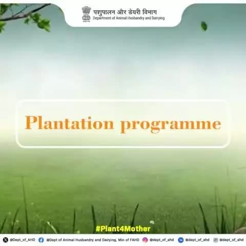 Together for a Greener Future!
In celebration of the #Plant4Mother campaign, DAHD offices across the country have come together to plant trees and contribute to a healthier planet.