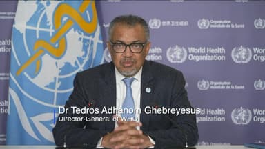 @DrTedros, Director-General @WHO, at the opening ceremony of The Global Food Regulators Summit 2024.
#GFRS2024