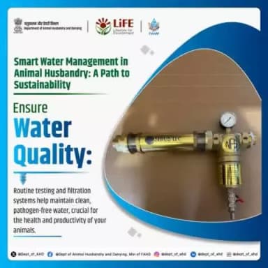 Smart Water Management: A Path to Sustainability 💧
Regular testing and filtration keep water clean and safe, boosting livestock health and productivity.
#WaterManagement #AnimalHusbandry #Sustainability