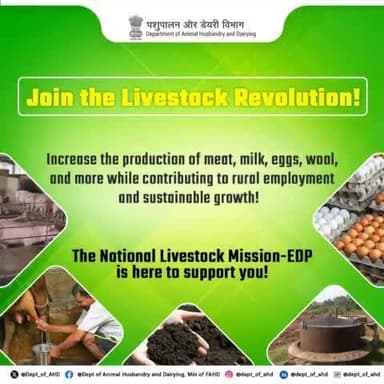 Unlock rural employment and sustainable growth by boosting the production of meat, milk, eggs, wool, and more!
The National Livestock Mission-EDP is here to support you!
#LivestockRevolution #RuralDevelopment