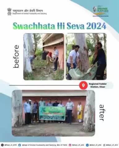 Joining forces for a cleaner India!
Officials from Regional Fodder Station, Hisar, participated in #SwachhtaHiSeva2024, cleaning up office premises.
#SwachhBharat #CleanIndia #Sustainability #DAHD