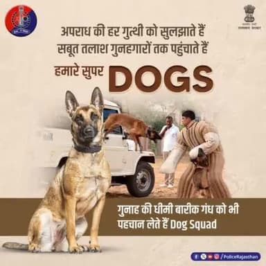 अपराधी कितना भी हो चालाक, उसके हर झूठ को बेनकाब करती है #राजस्थान_पुलिस की #DogSquad.
गुनाह की गंध को पहचान कर गुनाहगारों तक पहुंचते हैं हमारे सुपर डॉग्स।