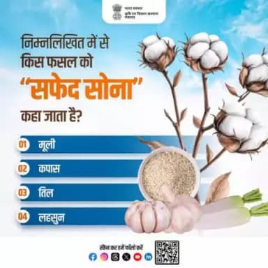 कृषि क्विज़ में हिस्सा लें व परखें अपना ज्ञान!
निम्नलिखित में से किस फसल को “सफेद सोना” कहा जाता है? कृपया अपना जवाब कमेंट बॉक्स में साझा करें।
#agrigoi #agriquiz #WhiteGold #agriculture