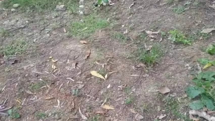 बरेका प्राविधिक प्रशिक्षण केंद्र में #SpecialCampaign के अंतर्गत #SwchhtaAbhiyaan