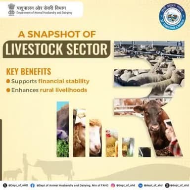 The livestock sector is a backbone for millions!
Supporting financial stability and enhancing rural livelihoods, it plays a key role in the economy and sustains countless families across India.
#Livestock #RuralDevelopment