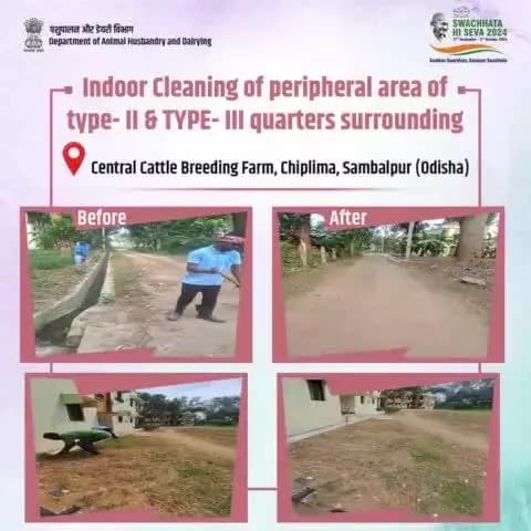 विशेष अभियान 4.0 के अंतर्गत, केंद्रीय पशु प्रजनन फार्म, संबलपुर, ओडिशा द्वारा टाइप- II और टाइप- III क्वार्टरों के आसपास के क्षेत्र की सफाई की गई।
#speicalcampaign4 #cleanindia #swachhatahiseva2024