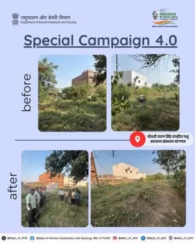 चौधरी चरण सिंह राष्ट्रीय पशु स्वास्थ्य संस्थान, बागपत में विशेष अभियान 4.0 के अंतर्गत पंप नं. 1 और पानी की टंकी के आस-पास के क्षेत्र की सफाई की गई। इसके साथ ही जागरूकता अभियान भी चलाया गया।
#SpecialCampaign4 #CleanIndia
