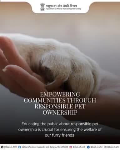 Caring for pets is a small step that makes a big difference in their lives. Let’s commit to being responsible pet owners and giving them the love and care they deserve. 🐾
#PetCare #AnimalWelfare