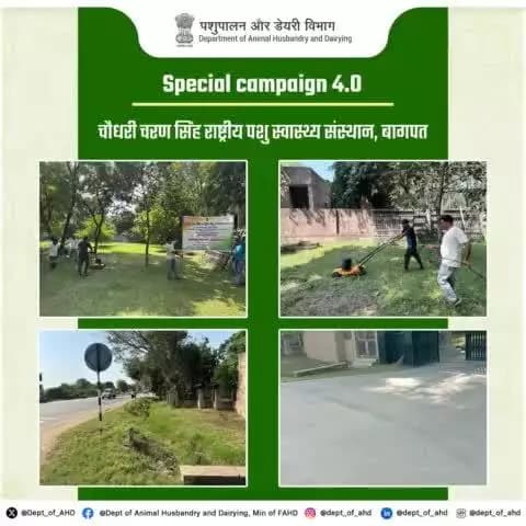 स्वच्छ भारत अभियान विशेष अभियान 4.0 के तहत चौधरी चरण सिंह राष्ट्रीय पशु स्वास्थ्य संस्थान, बागपत में एक विशेष सफाई एवं जागरूकता अभियान का आयोजन किया गया। इस दौरान संस्थान के मुख्य गेट और उसके आसपास के क्षेत्र की सफाई की गई।
#SHS2024